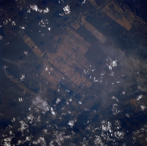 Agriculture, Rio Sao Francisco, Brazil, South America