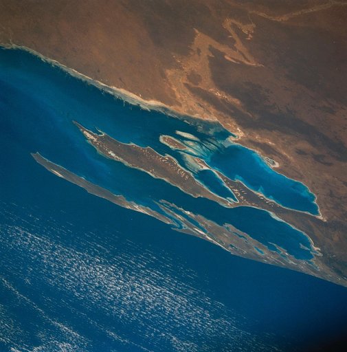 Algae Reefs in Shark Bay, Western Australia, Australia