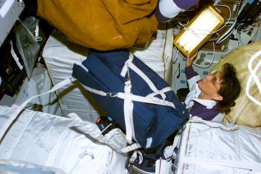 Currie with stowage bags