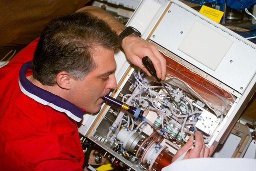 Wolf on Endeavour with hardware