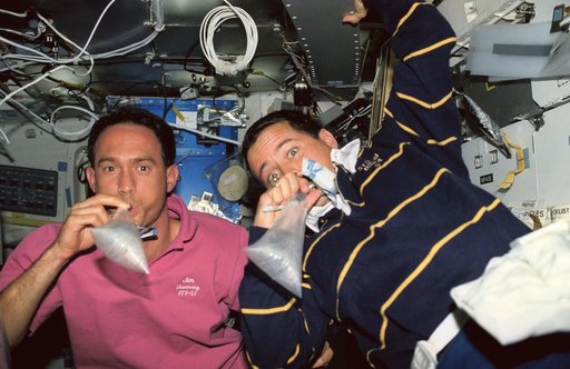 Astronauts Newman and Bursch participate in DSO 622