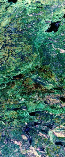False-color composite image of Prince Albert, Canada