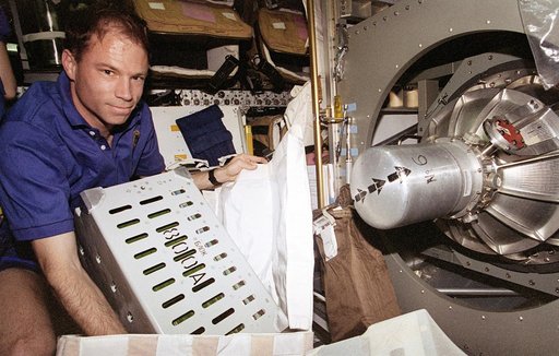 Documentation of logistics transfer from shuttle Spacehab
