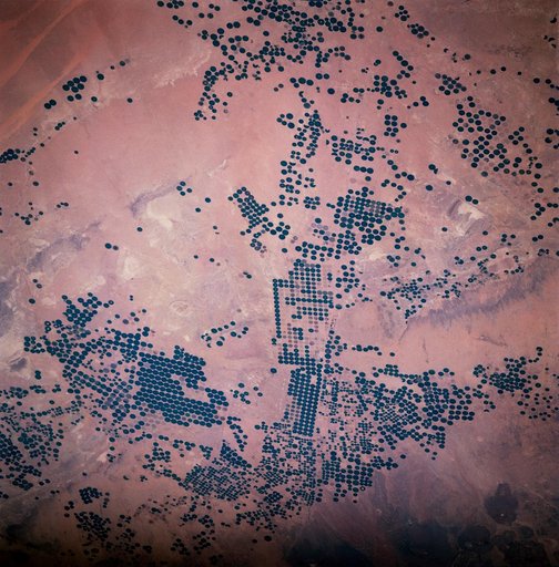 Earth observations taken during STS-83 mission