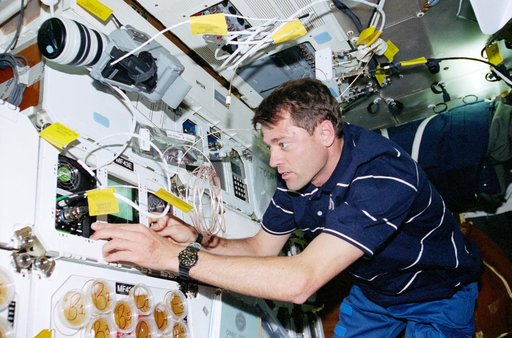 STS-93 Pilot Ashby works with the STL-B experiment on the middeck