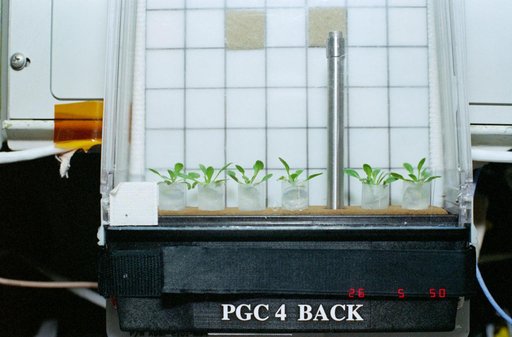 Photographic documentation of the PGIM-1 experiment during STS-100