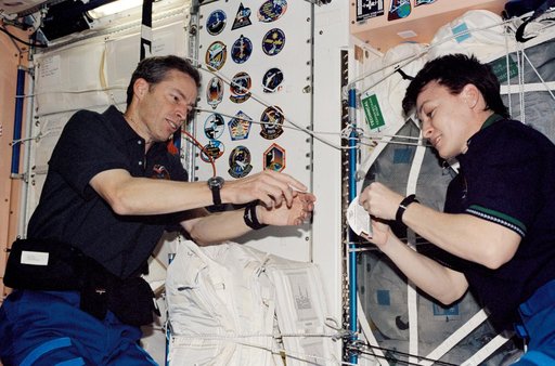 Wetherbee and Whitson prepare to place mission stickers on Node 1 panel during STS-113 / EXP 5