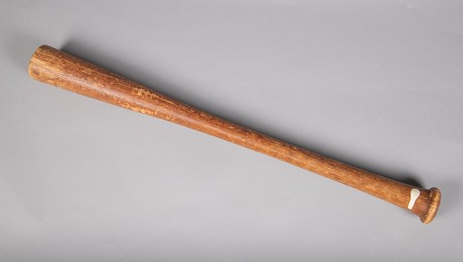 Bat, Baseball, Sally Ride