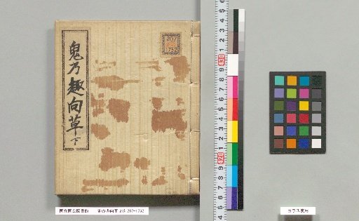 The Whimsical Tale of the Demon, 2 volumes