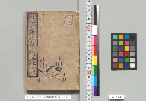 Keisei Kishitsu Yae-zawa, 6 volumes