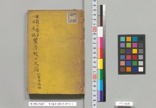 The Purple Room's Patterned Literary Box in 6 Volumes