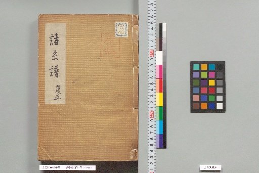 Various Genealogies, Volume 31