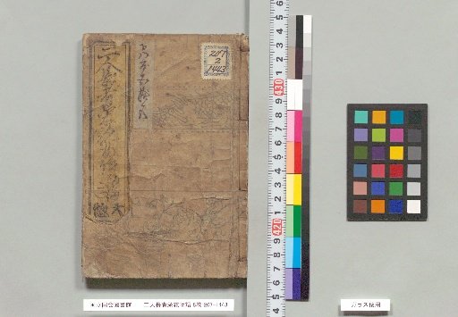 Tale of the Two Rich Men and the Glory of Flowers, Volume 8, First Part