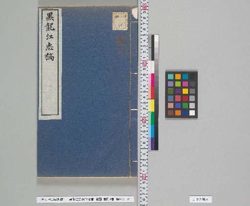 Draft History of the Amur River, 62 Volumes, 1 Volume of Preface, 1 Volume of Maps, 4 Volumes of Appendices; Volumes 10, 11