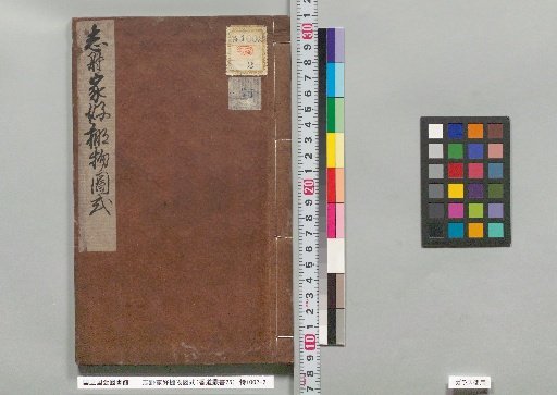 Diagrams of Shino Family Favorite Shelf Objects