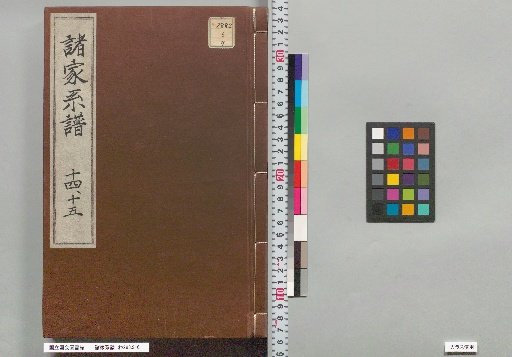 Genealogies of Various Families, 14–15