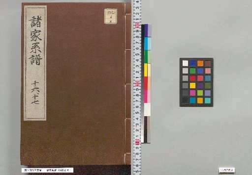 Genealogies of Various Families, 16–17