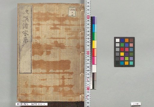 Genealogies of Various Families: 171, 172, 173