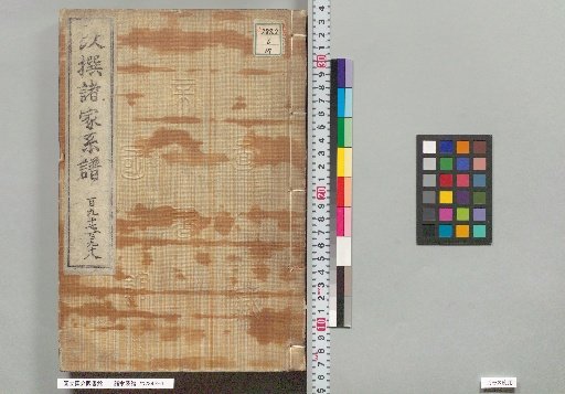 Genealogies of Various Families: 197, 198