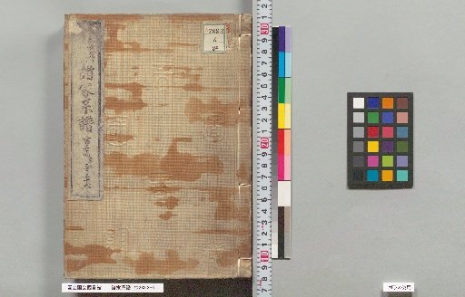 Genealogies of Various Families: 254, 255, 256
