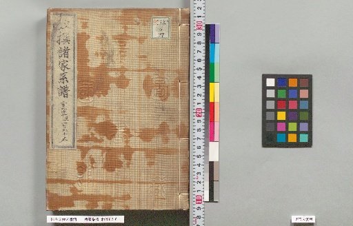 Genealogies of Various Families: 293, 294, 295