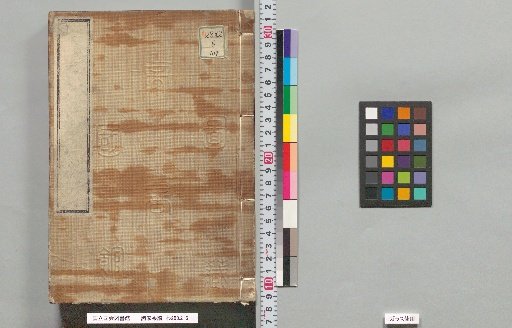 Genealogies of Various Families: 305, 306, 307
