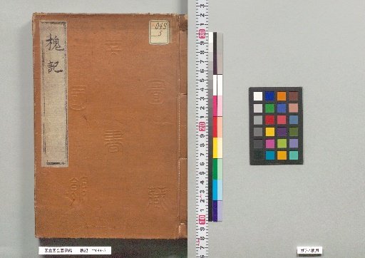 Record of the Locust Tree