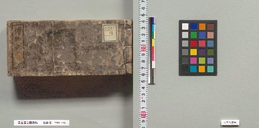 Collection of Natural History