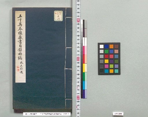 Catalogue of the Fifty Ten Thousand Volumes Library, First Edition, 22 volumes [19]