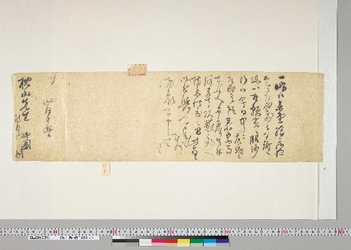 [Materials on Ōnuma Chikuzan and Tsururin] [81] Letter from Fukushima Ryūho (to Ōnuma Chikuzan, April 19)