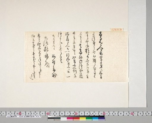 [Materials Related to Onuma Chikuzan and Tsurin] [164] Letter from Nishimura Shoki (To Onuma Tsurin, September 19, Meiji 30)