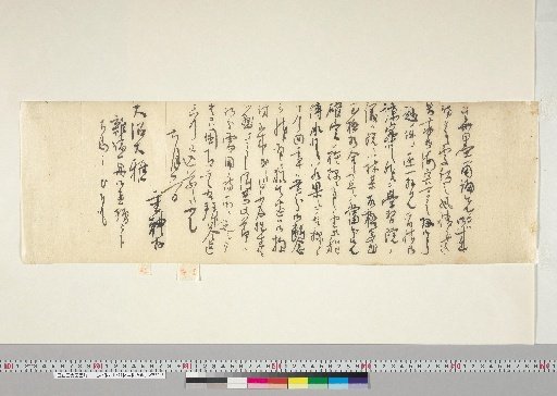 Materials Related to Onuma Chikuzan and Tsururin [177]: Letter from Shimada Shurei to Onuma Tsururin (June 2, 1891)