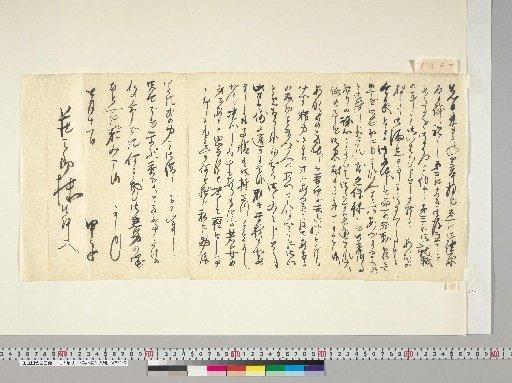 [Materials Related to Onuma Chikuzan and Tsurin] [196] Letter from Onuma Kōshi (July 11)