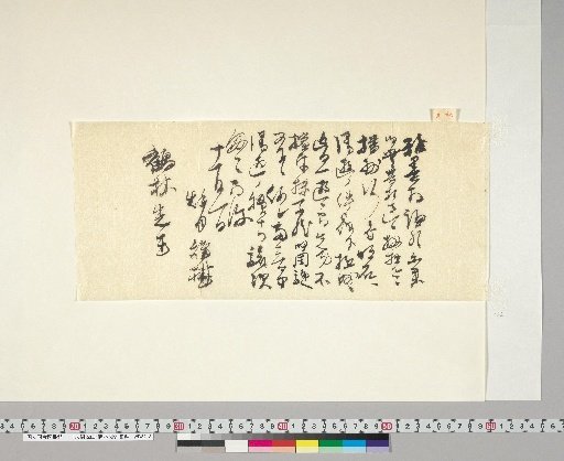 [Materials Relating to Onuma Chikuzan and Tsurin] [213] Letter from Akizuki Taneoki (to Onuma Tsurin, November 1)