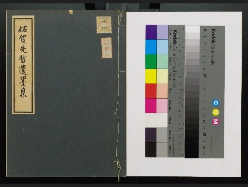 Collection of Remnant Ink by Saga Sages