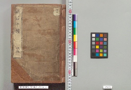 Ten Types of Swallow Stones, Vols. 1-2