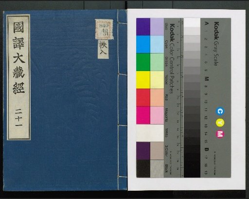 Japanese Translation of the Tripitaka: Volumes 1-4, 13-48