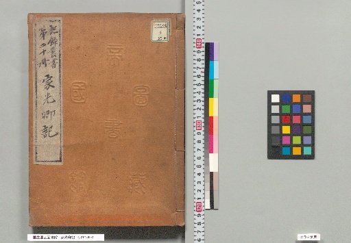 Record of Iemitsu no Kō