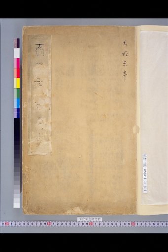 Additional Observations on the Collection, Volume 2