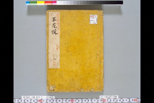 Treatise on Grass and Flowers, Volume 1, Scroll 5