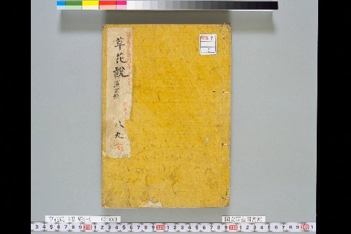 Treatise on Grass and Flowers, Volume 2, Scroll 8 (Wet Grasses)