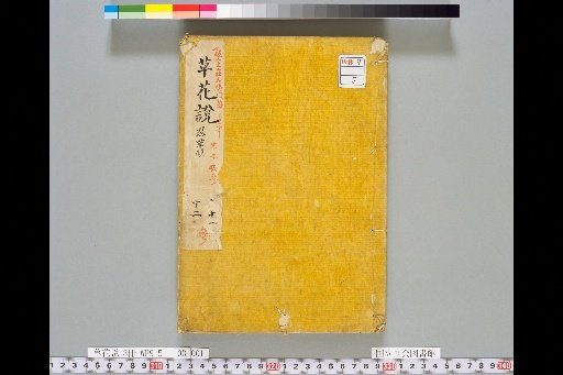 Treatise on Grasses and Flowers, Volume 3, Scroll 11: Wetland Grasses