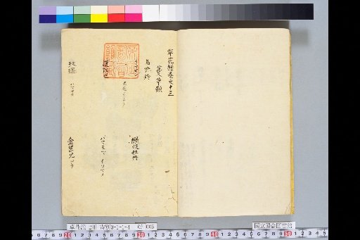Treatise on Grasses and Flowers, Volume 2, Scroll 13: Man Grasses