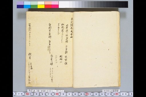 Treatise on Grasses and Flowers, Volume 2, Scroll 14: Mountain Grasses, Wetland Grasses, Stone Grasses, Water Grasses