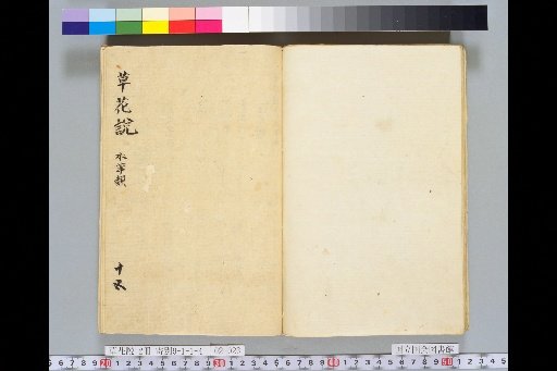 Treatise on Grasses and Flowers, Volume 2, Scroll 15: Water Grasses