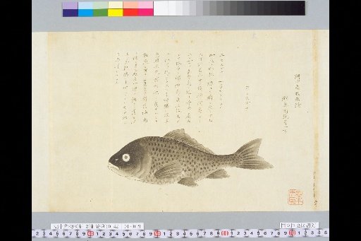 Illustrated Verification of Lake Products, Upper, Scroll 1, Lower