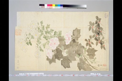 Hōitsu's Drafts for Various Subjects [Grasses and Flowers]