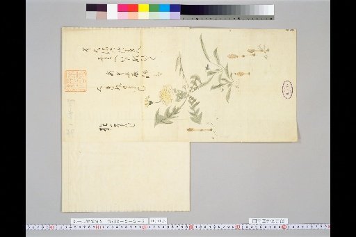 Hōitsu's Drafts for Various Subjects [Grasses and Flowers]