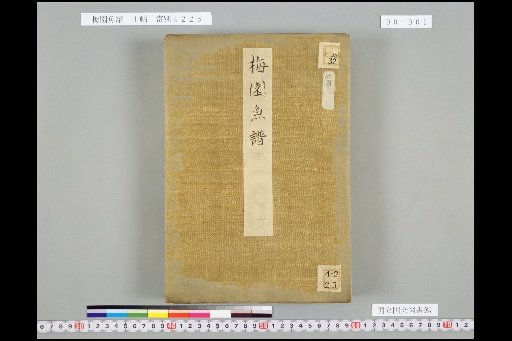 Plum Garden Fish Catalog