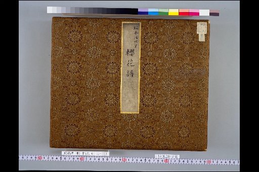 Cherry Blossom Catalog